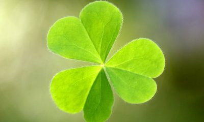 admiral-jocuri-de-noroc