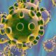 Coronavirus in lume
