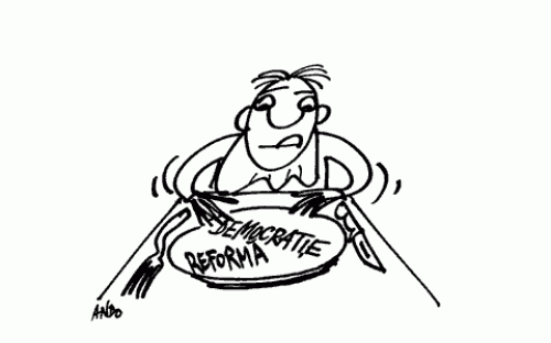 Alimentație rațională