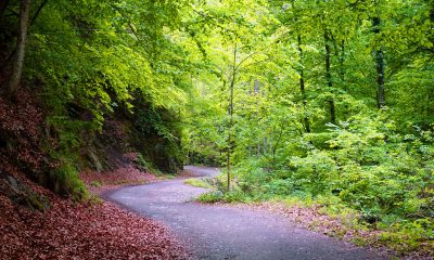 Parcul Național Cozia