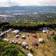 Deep Forest Fest