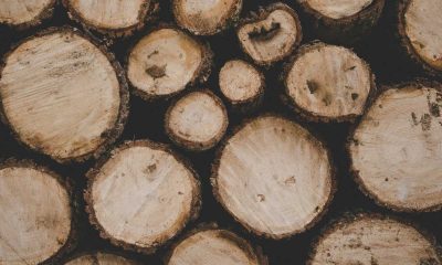 Despicătorul de bușteni: cum funcționează, cât costă și care sunt principalele tipuri de astfel de utilaje