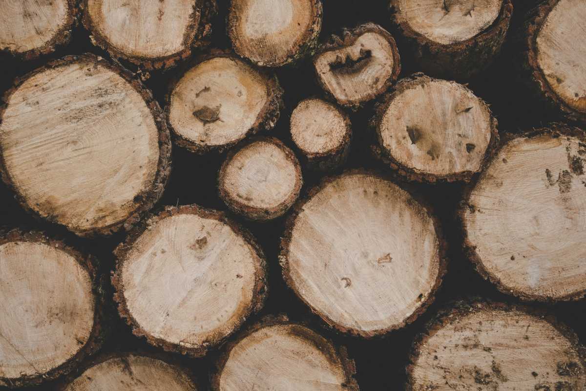 Despicătorul de bușteni: cum funcționează, cât costă și care sunt principalele tipuri de astfel de utilaje