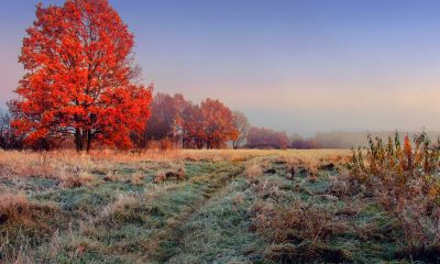 Cum va fi vremea in Romania in luna noiembrie