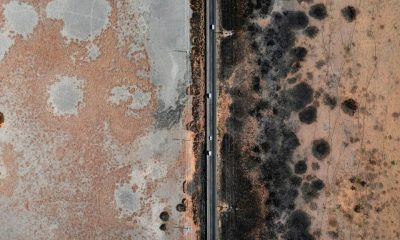 Cum poți preveni apariția mucegaiului în apartament?