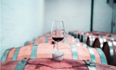 Fermentația vinului: recomandările și ponturile specialiștilor pentru un vin de calitate