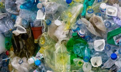 Reciclarea deșeurilor de ambalaje: avantaje economice și ecologice pentru companii