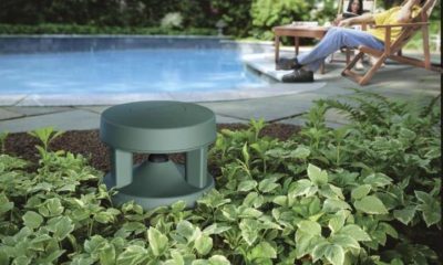 Seri de vară în grădină: atmosfera care te face să nu mai vrei să intri în casă